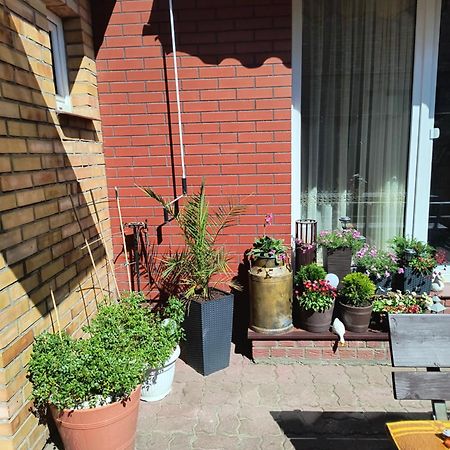 Ogrodek U Eli Lejlighed Kołobrzeg Eksteriør billede